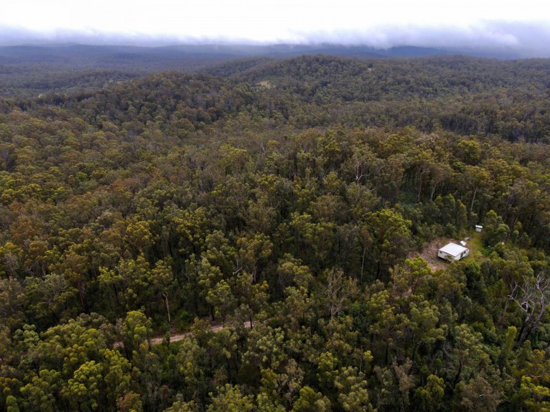 Lot 104 Pateman Road, Drake NSW 2469
