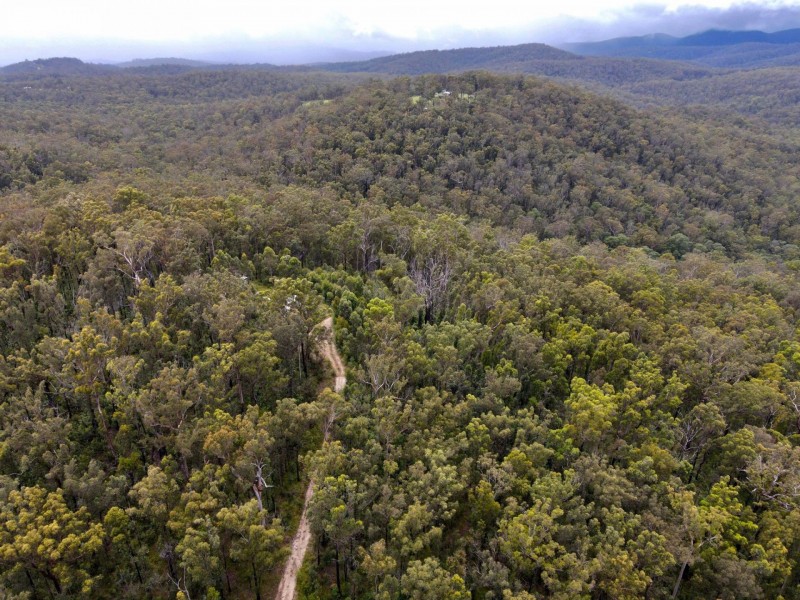 Lot 104 Pateman Road, Drake NSW 2469