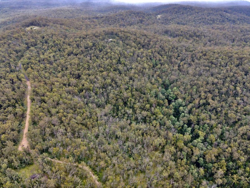 Lot 104 Pateman Road, Drake NSW 2469