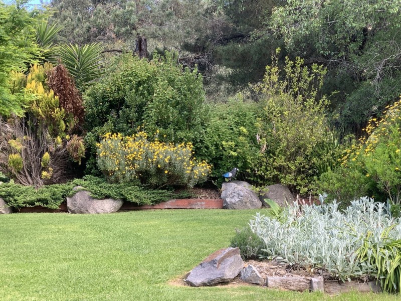 29 Fairway Avenue, Mount Beauty VIC 3699