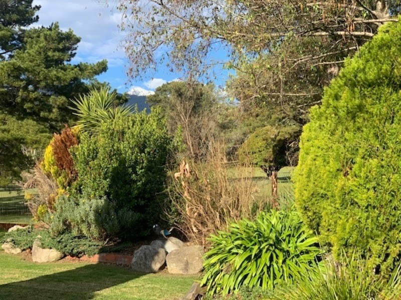 29 Fairway Avenue, Mount Beauty VIC 3699