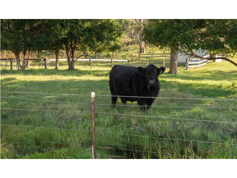 35 Pear Tree Place, Moruya NSW 2537