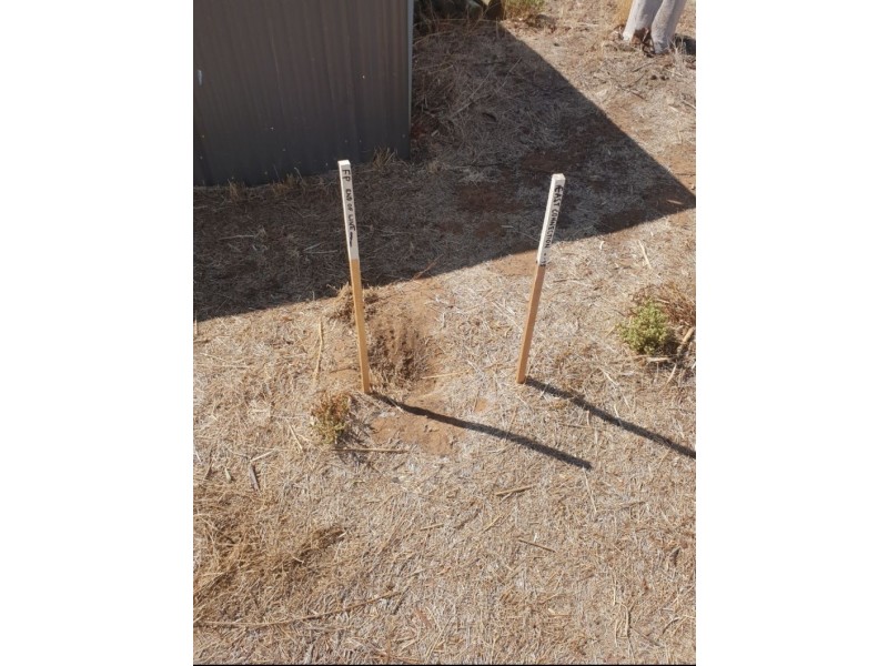 2 Joffre Avenue, Pinnaroo SA 5304