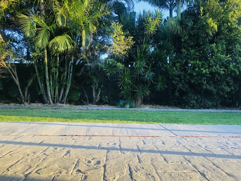 6 Buschman cl, Redbank Plains QLD 4301