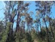 Coolah NSW 2843