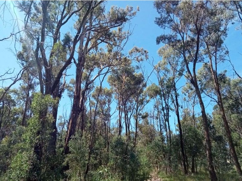 Coolah NSW 2843