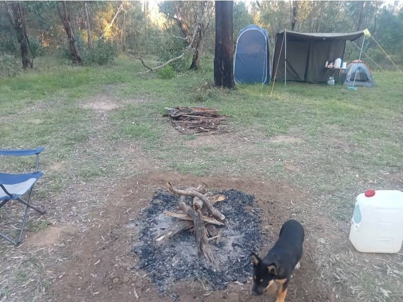 Coolah NSW 2843