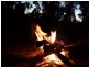 Coolah NSW 2843