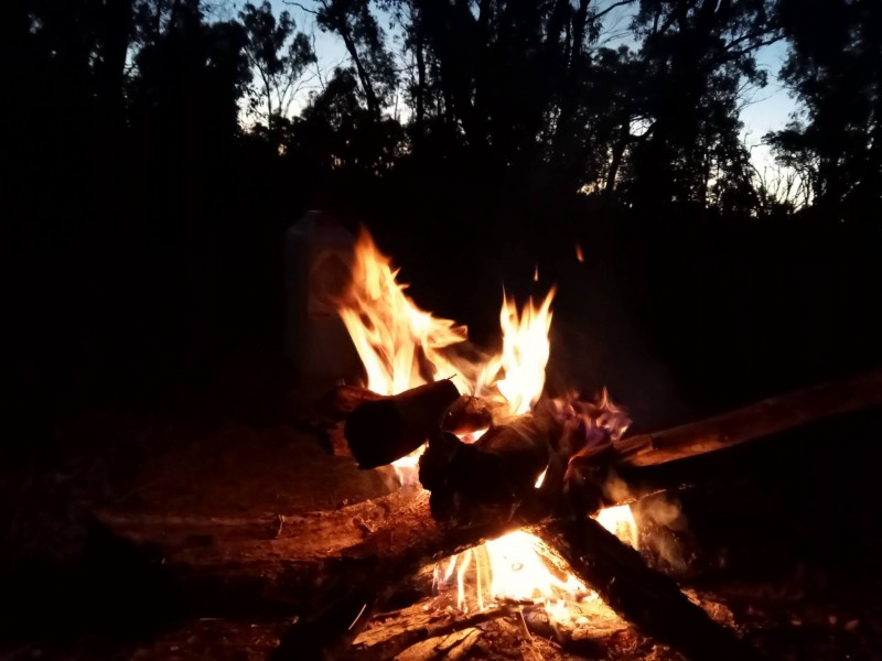 Coolah NSW 2843