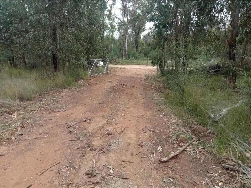 Coolah NSW 2843
