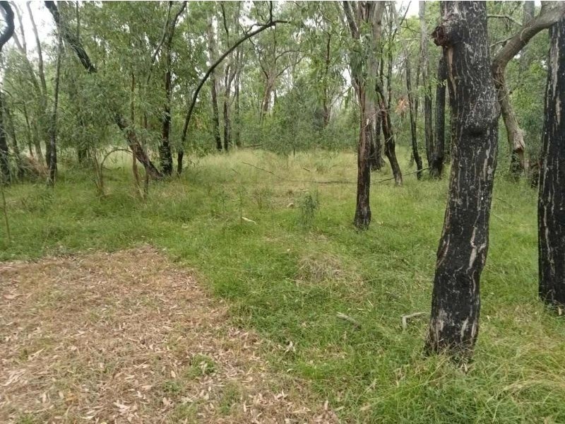 Coolah NSW 2843