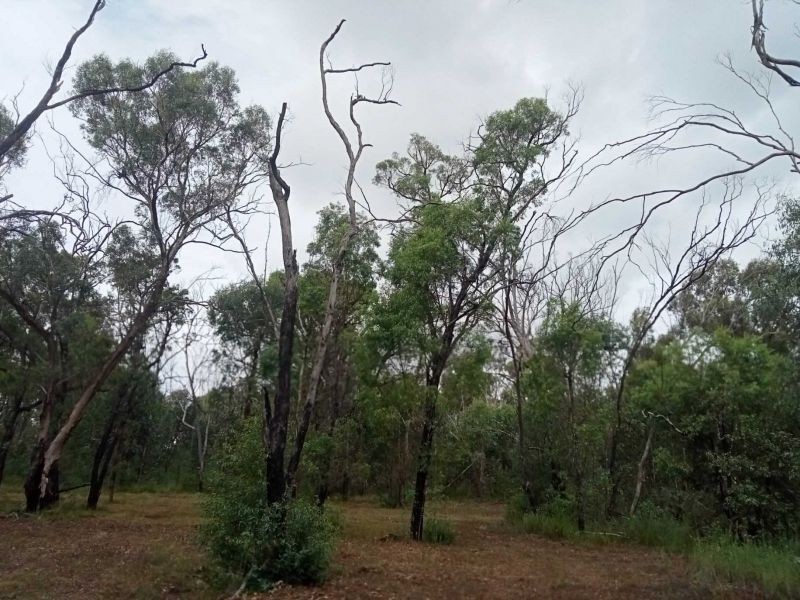 Coolah NSW 2843
