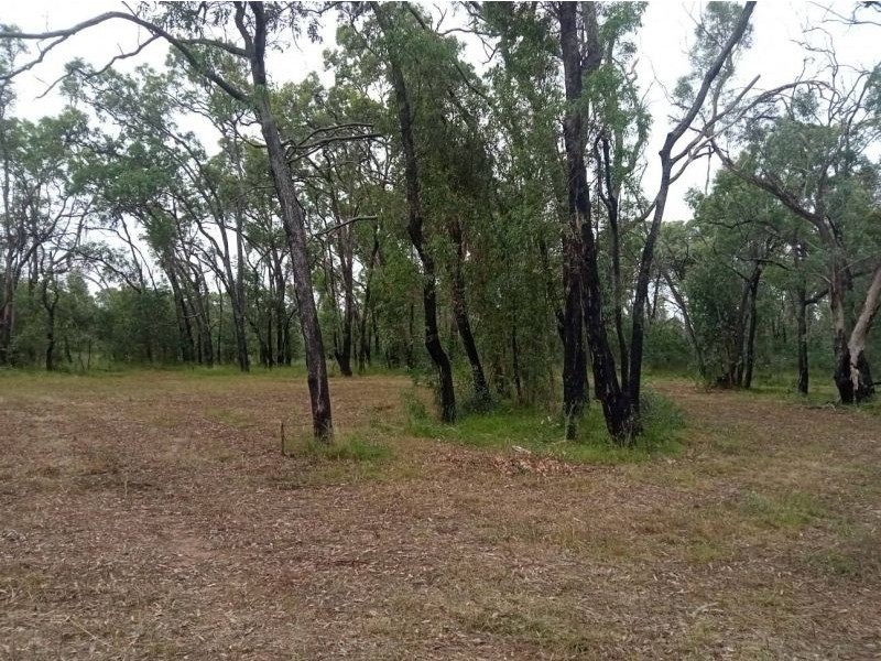 Coolah NSW 2843