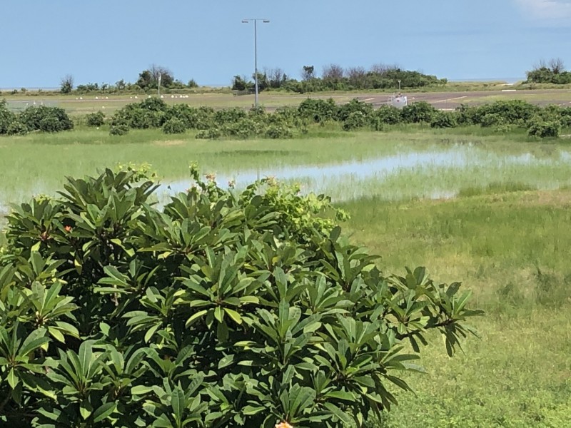 19 Col Kitching Drive, Karumba QLD 4891