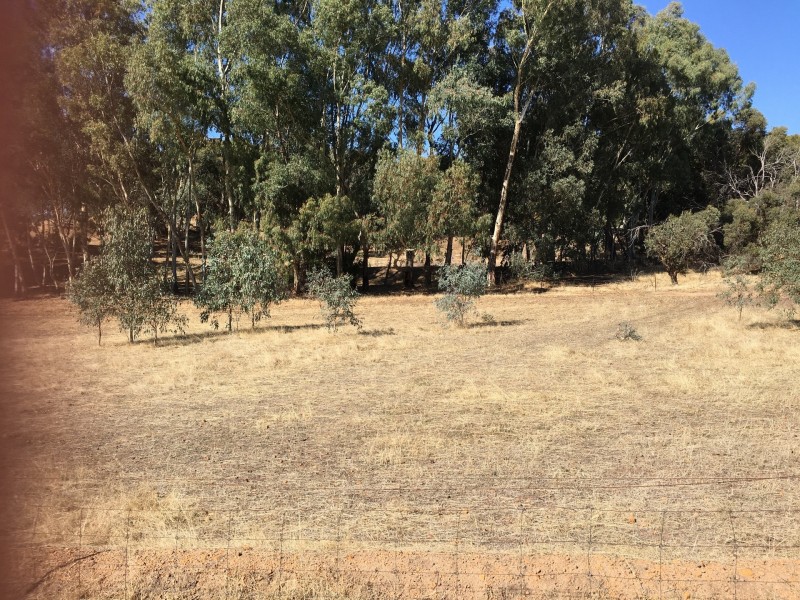 31 Ranford Retreat, Ranford WA 6390