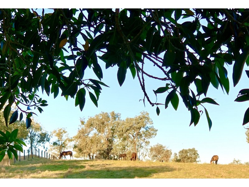Lot 62 Hivesville Road, Hivesville QLD 4612