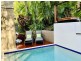 43 Aurelia Road, Palm Cove QLD 4879