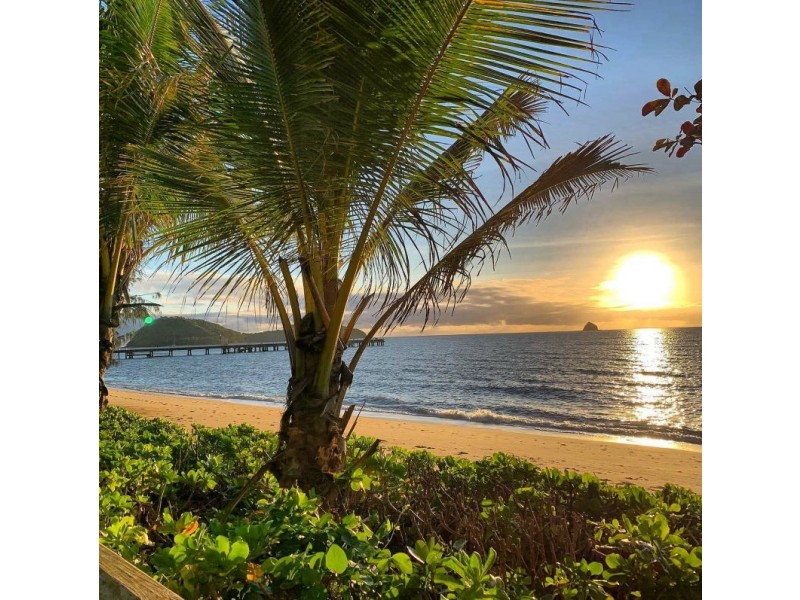 43 Aurelia Road, Palm Cove QLD 4879