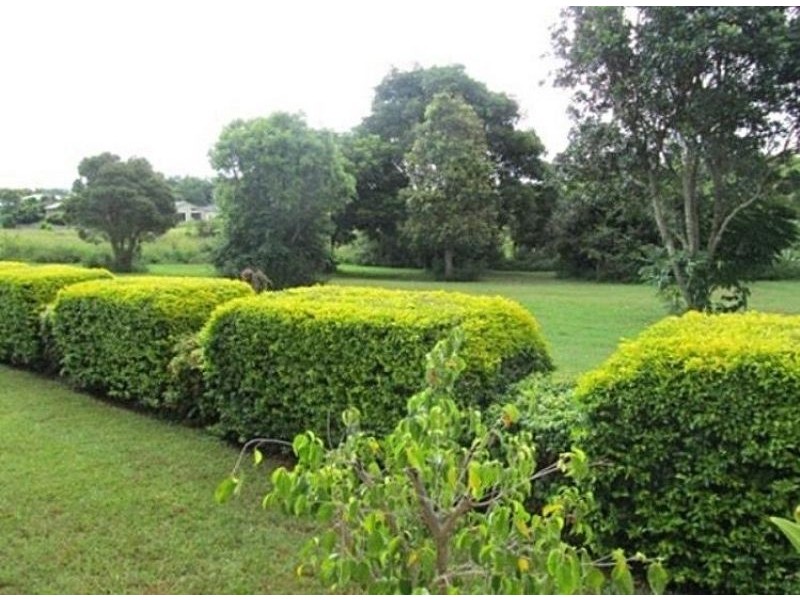 Alstonville NSW 2477