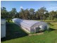 17 Grevillea Drive, Granville QLD 4650