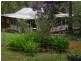 238 Greys Lane, Ravenshoe QLD 4888