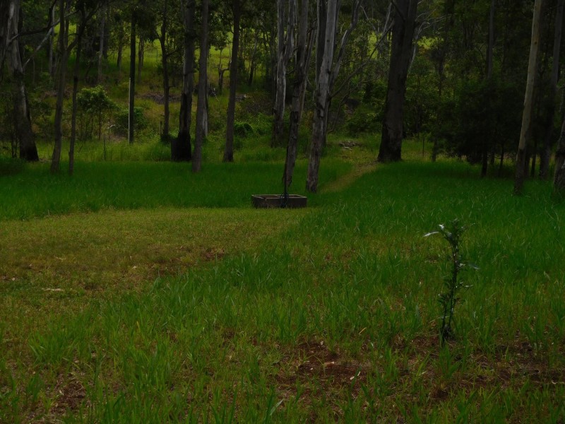 238 Greys Lane, Ravenshoe QLD 4888