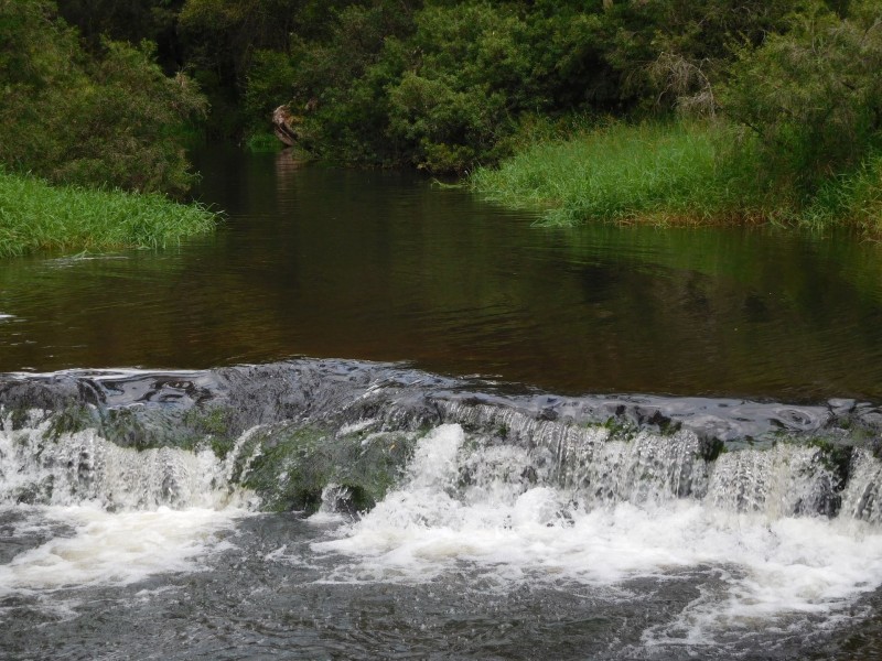 238 Greys Lane, Ravenshoe QLD 4888