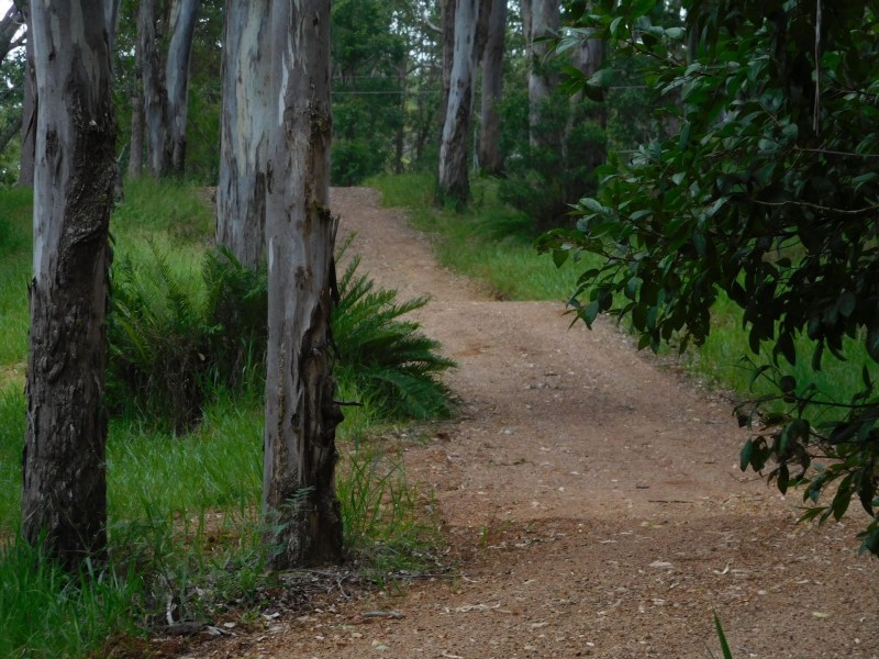 238 Greys Lane, Ravenshoe QLD 4888