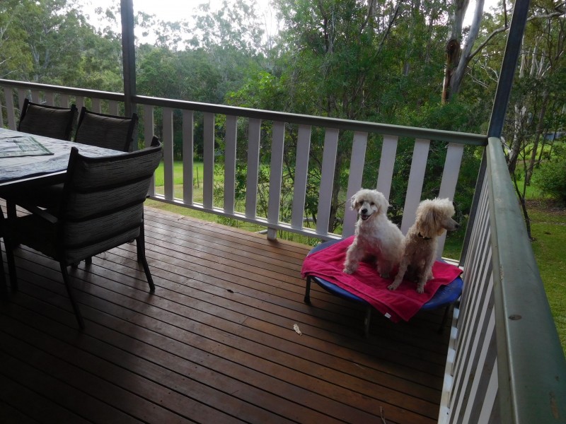 238 Greys Lane, Ravenshoe QLD 4888