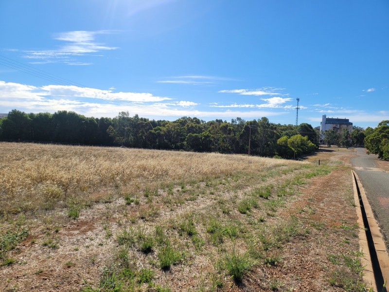 11 West Terrace, Wirrabara SA 5481