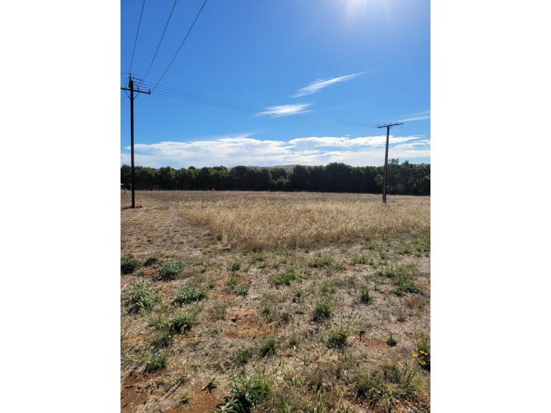 11 West Terrace, Wirrabara SA 5481