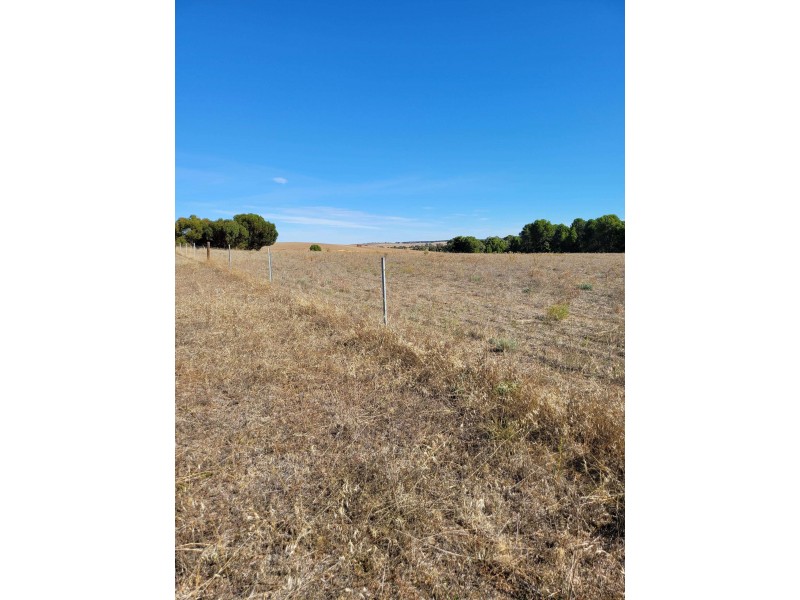 11 West Terrace, Wirrabara SA 5481