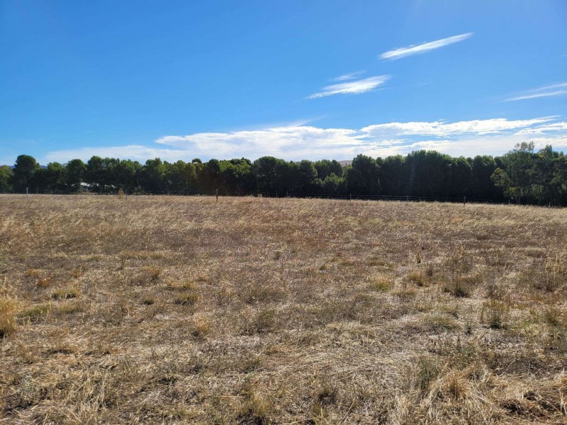 11 West Terrace, Wirrabara SA 5481