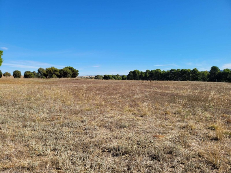 11 West Terrace, Wirrabara SA 5481