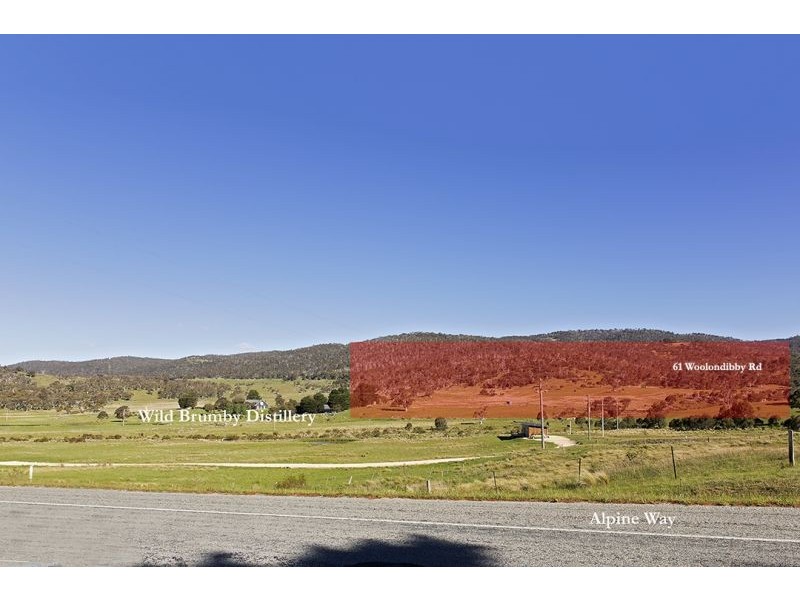61 Wollondibby Road, Crackenback NSW 2627