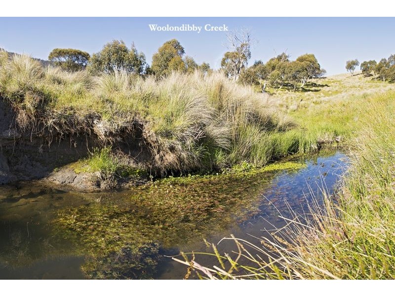 61 Wollondibby Road, Crackenback NSW 2627