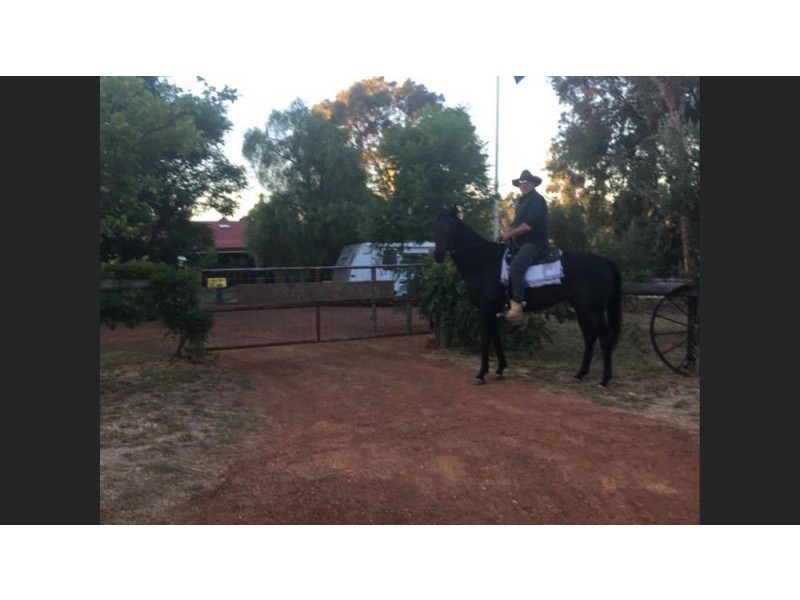 15 Killara Place, Gooseberry Hill WA 6076