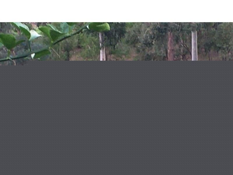 15 Killara Place, Gooseberry Hill WA 6076