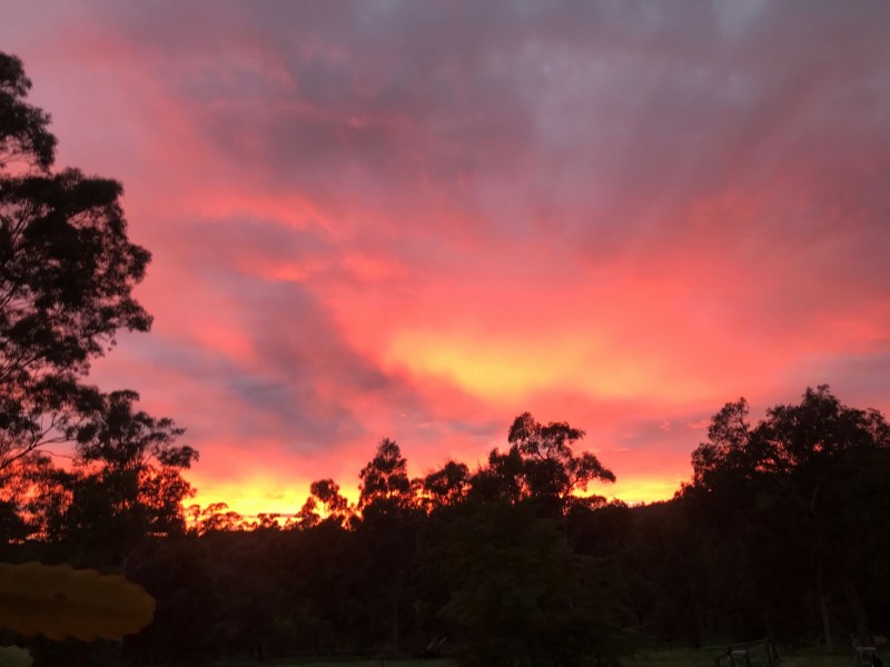 15 Killara Place, Gooseberry Hill WA 6076