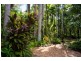 406 Koah Road, Koah QLD 4881