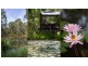 406 Koah Road, Koah QLD 4881