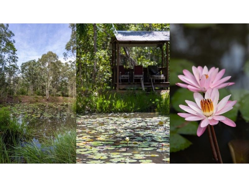 406 Koah Road, Koah QLD 4881
