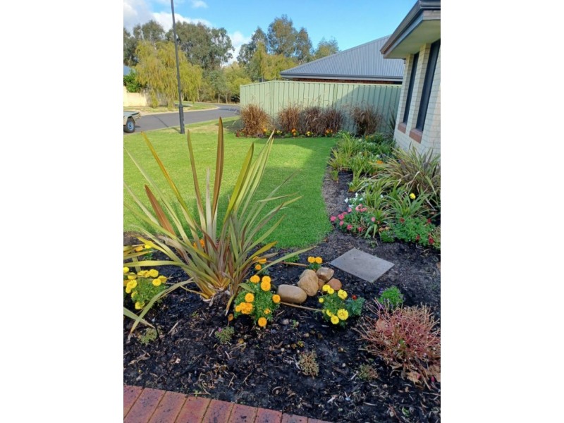 3 Sickle Drive, Vasse WA 6280