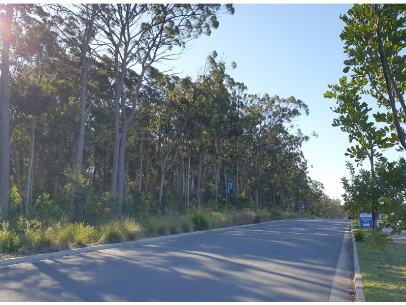 13 Indigo Street, Medowie NSW 2318