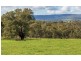 Lot 2 Sarah St, Gerogery NSW 2642