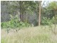 Lot 181 Windsor Drive, Mount Hallen QLD 4312