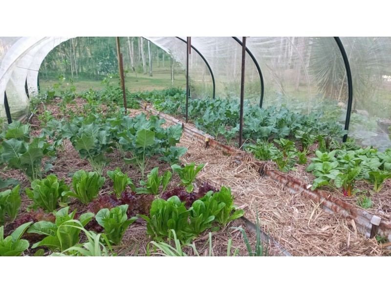 11 Scott Thomas Drive, Sexton QLD 4570