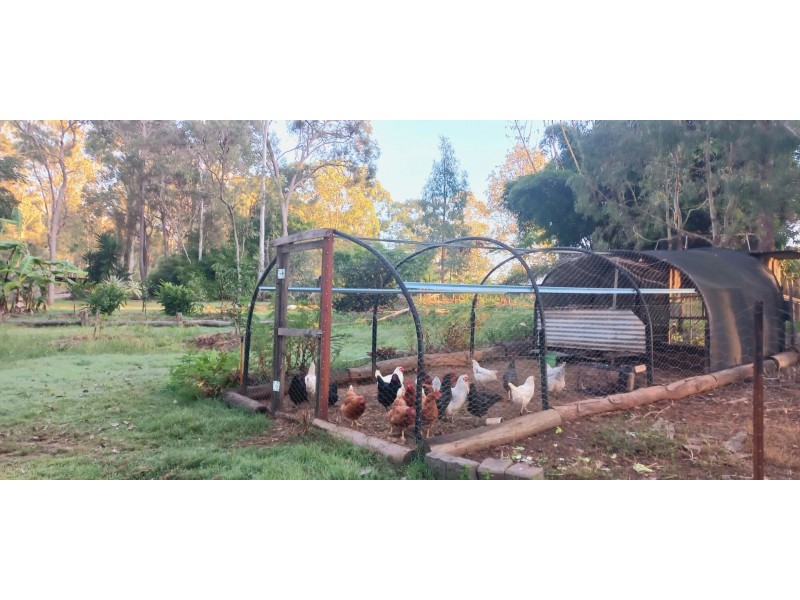 11 Scott Thomas Drive, Sexton QLD 4570