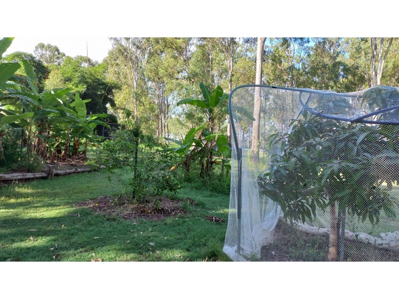 11 Scott Thomas Drive, Sexton QLD 4570