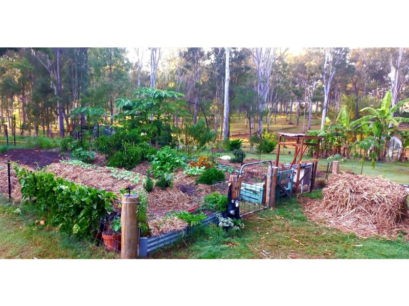 11 Scott Thomas Drive, Sexton QLD 4570